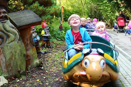 Schildkrötenbahn